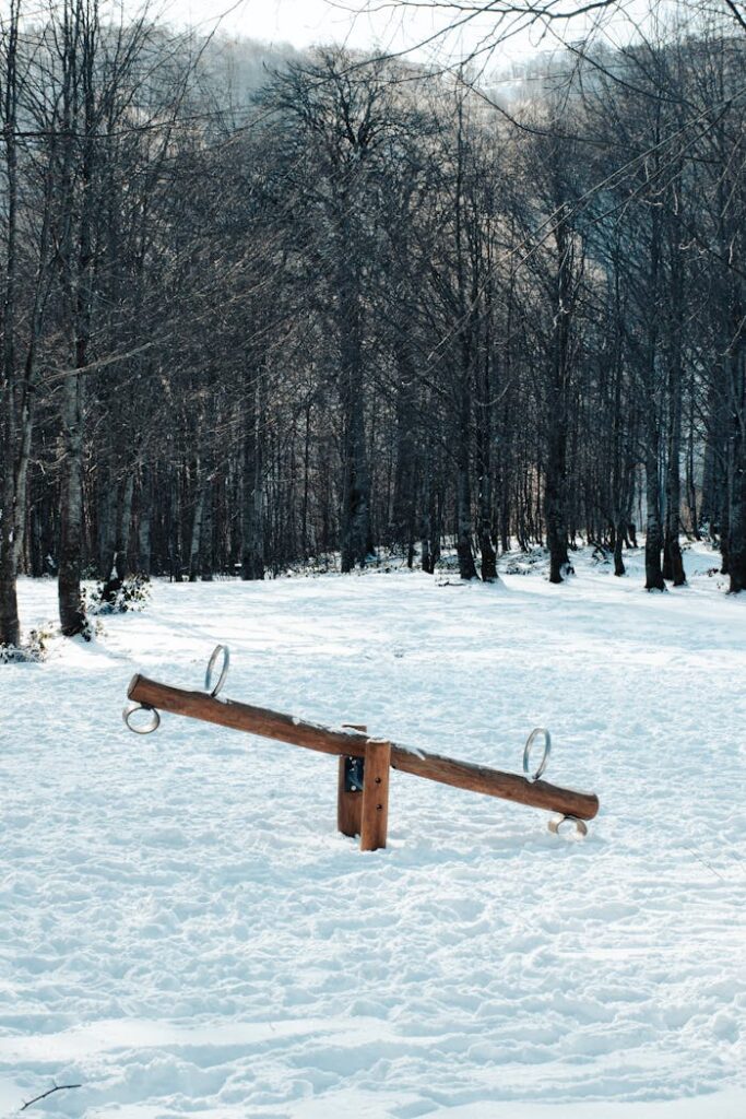 pexels photo 35597047.jpeg